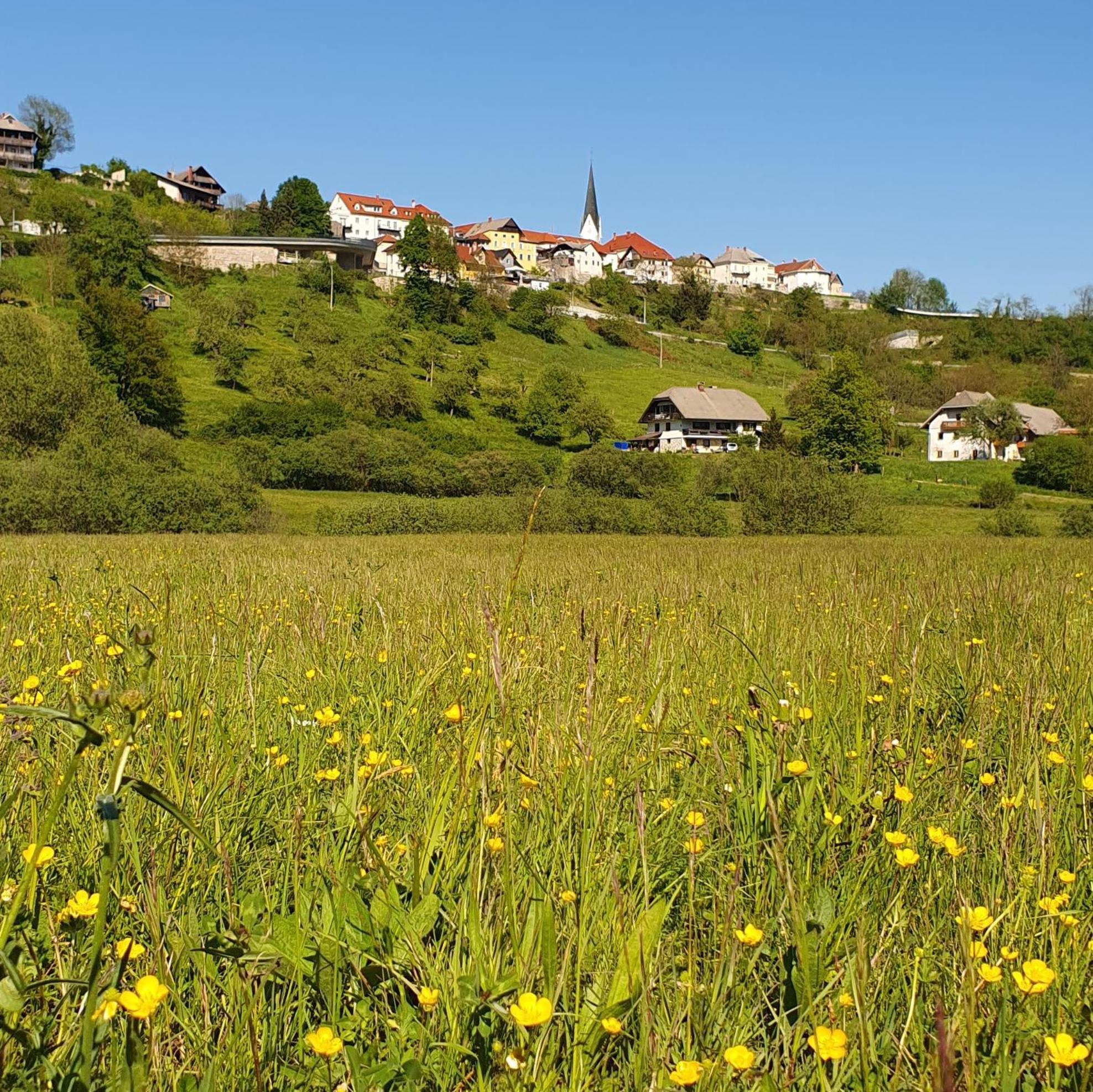 River House Radolca Bed and Breakfast Radovljica Εξωτερικό φωτογραφία