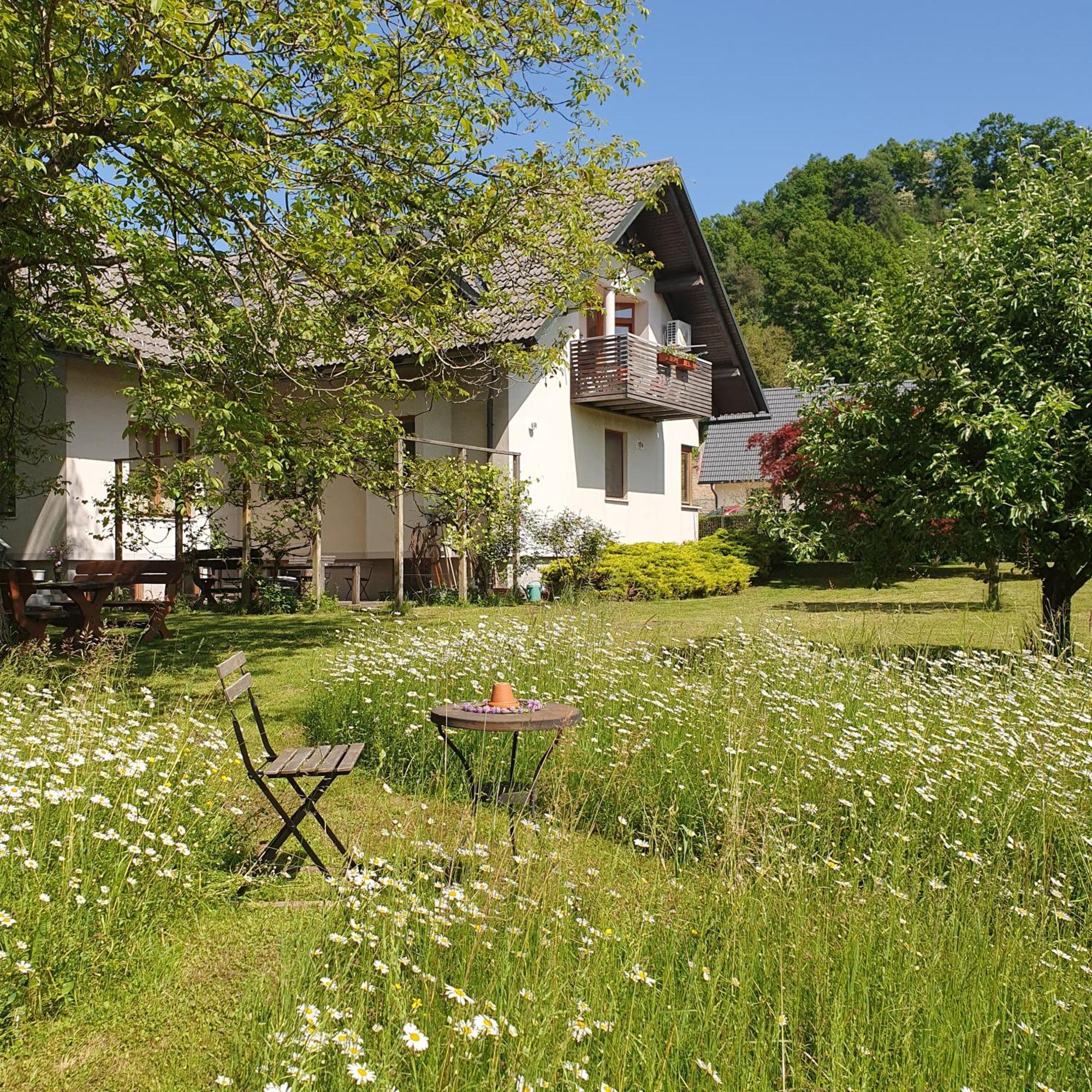 River House Radolca Radovljica Εξωτερικό φωτογραφία